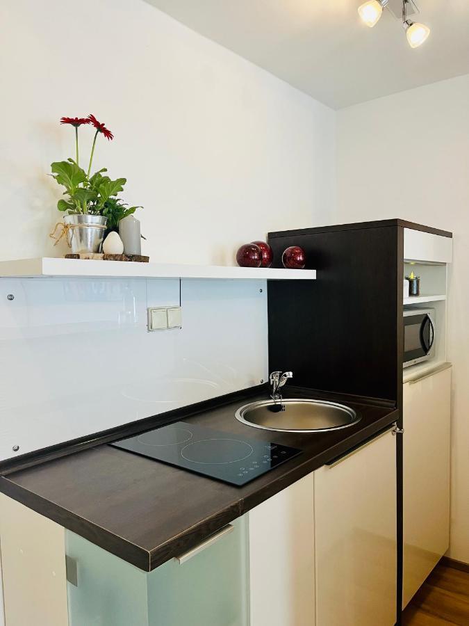 Pension Garni No.11 เดรสเดน ภายนอก รูปภาพ